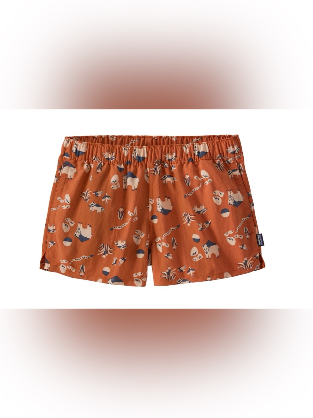 Patagonia Women's Baggie shorts
